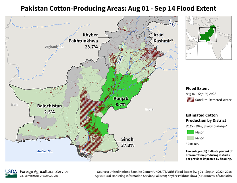 images\Year_2022\August\Floods\sasia\Pakistan\PakistanCottonFloodExtent_thumb.png